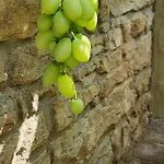 Ferienhaus Außergewöhnliches, Historisches, Spätgotisches Wohnhaus Von 1519, Gries 5 *