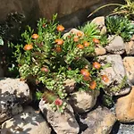 Aussergewoehnliches, Historisches, Spaetgotisches Wohnhaus Von 1519, Gries 5 Hébergement de vacances