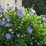 Außergewöhnliches, Historisches, Spätgotisches Wohnhaus Von 1519, Gries 5 *