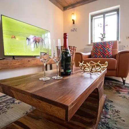 Holiday home Aussergewoehnliches, Historisches, Spaetgotisches Wohnhaus Von 1519, Gries 5 Gera