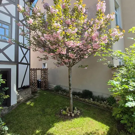 Außergewöhnliches, Historisches, Spätgotisches Wohnhaus Von 1519, Gries 5