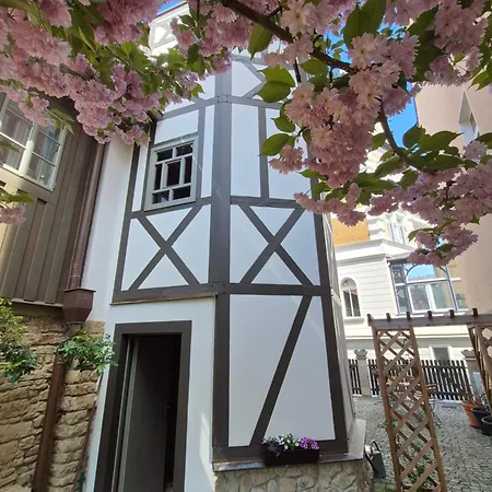 Aussergewoehnliches, Historisches, Spaetgotisches Wohnhaus Von 1519, Gries 5 Holiday home Gera