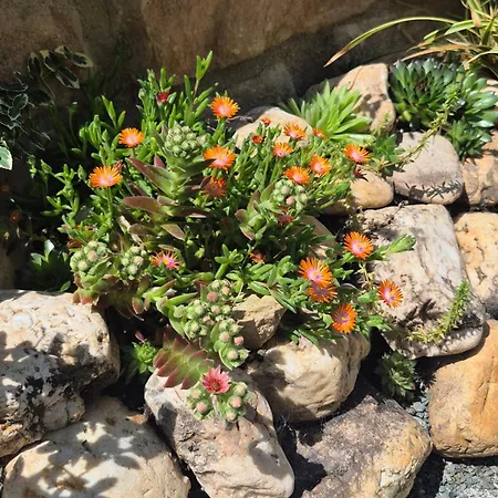 Aussergewoehnliches, Historisches, Spaetgotisches Wohnhaus Von 1519, Gries 5 Semesterbostad