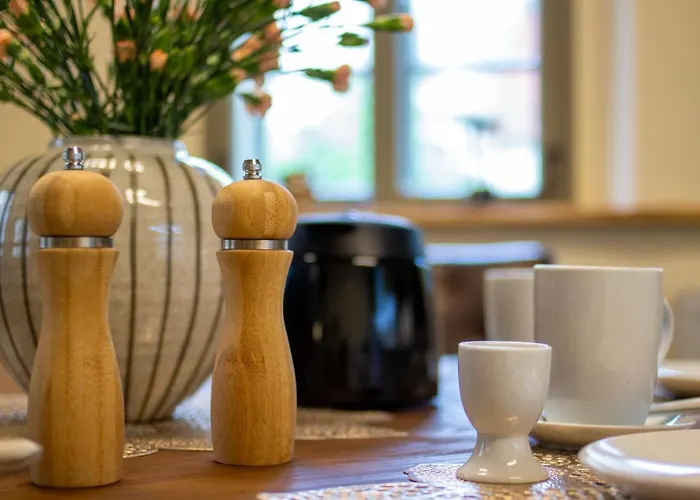 Aussergewoehnliches, Historisches, Spaetgotisches Wohnhaus Von 1519, Gries 5 * Gera