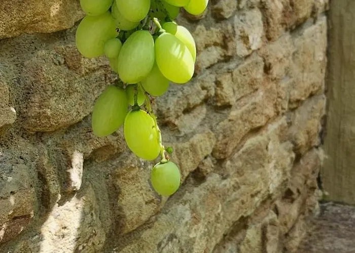 Ferienhaus Außergewöhnliches, Historisches, Spätgotisches Wohnhaus Von 1519, Gries 5 *