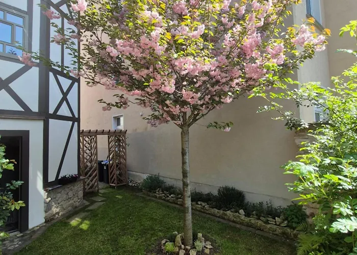 Außergewöhnliches, Historisches, Spätgotisches Wohnhaus Von 1519, Gries 5