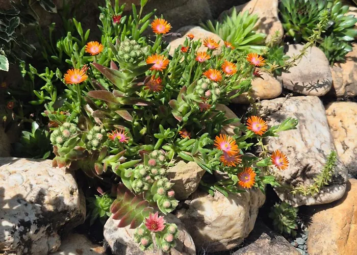 Außergewöhnliches, Historisches, Spätgotisches Wohnhaus Von 1519, Gries 5 Ferienhaus