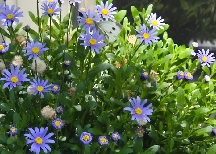 Außergewöhnliches, Historisches, Spätgotisches Wohnhaus Von 1519, Gries 5 *